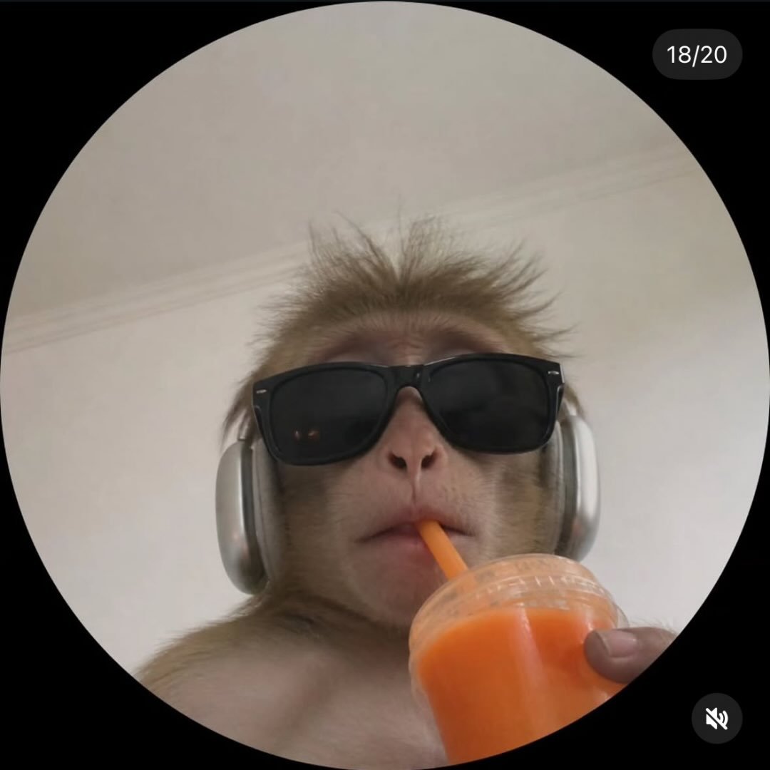 Instagram Profilbild von sxra_b