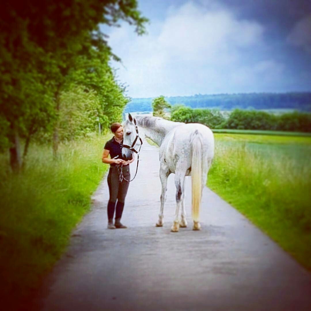 Instagram Profilbild von lenadorothea