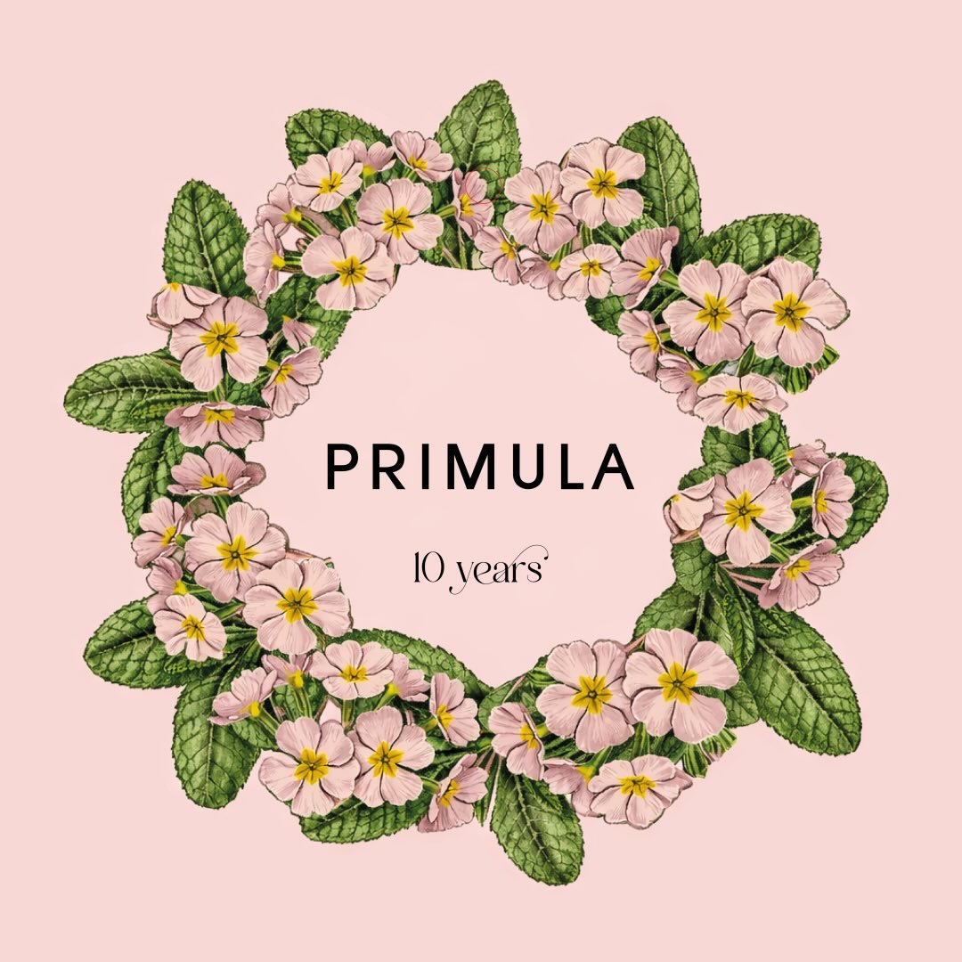 Instagram Profilbild von primula_design