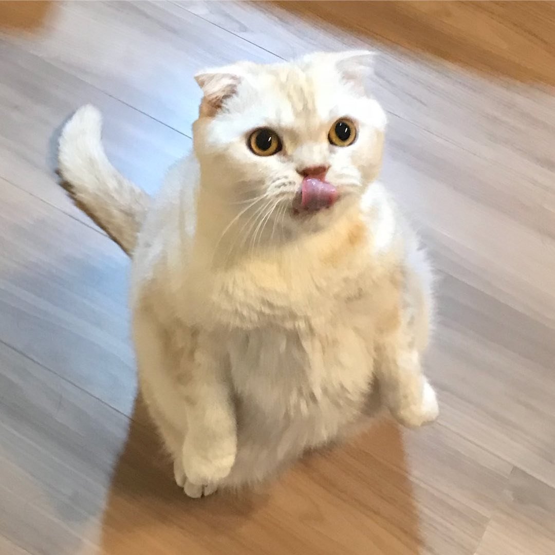 Instagram Profilbild von hyam