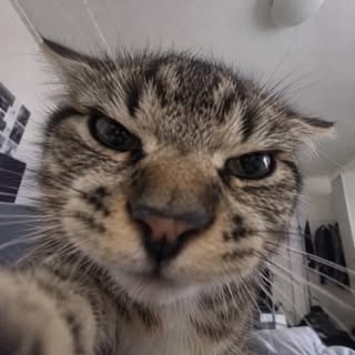 Instagram Profilbild von leni_null7