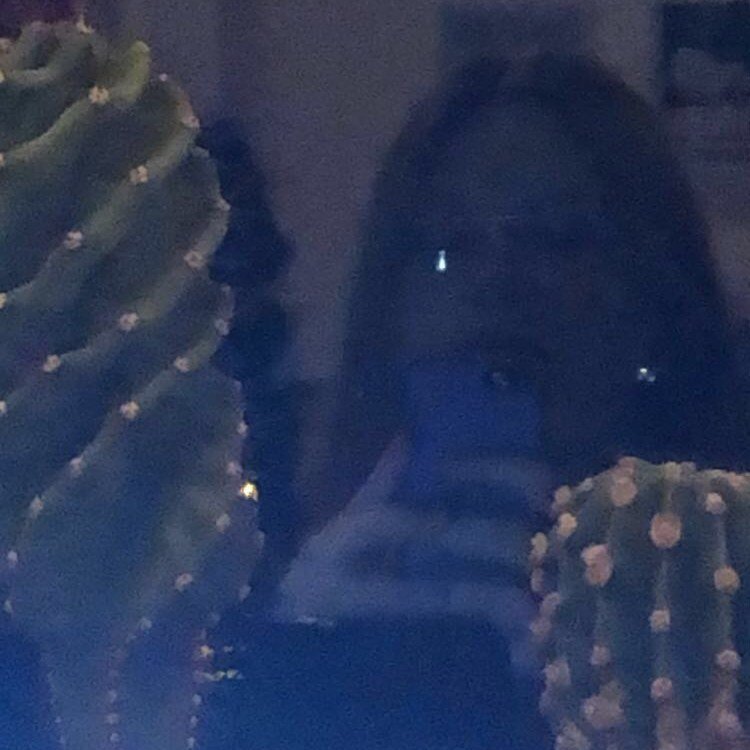 Instagram Profilbild von lenaa.af