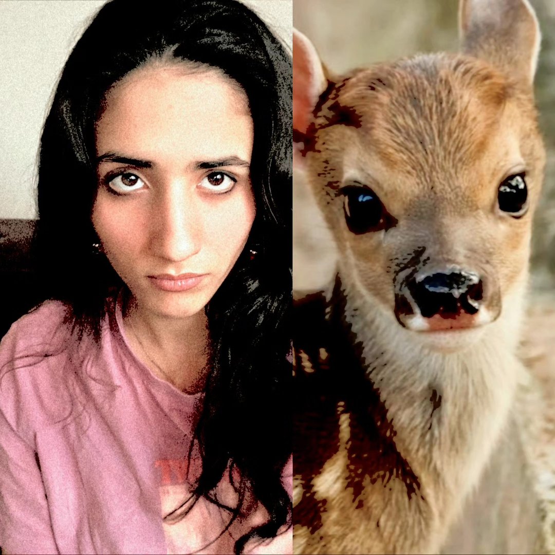 Instagram Profilbild von anushkakht