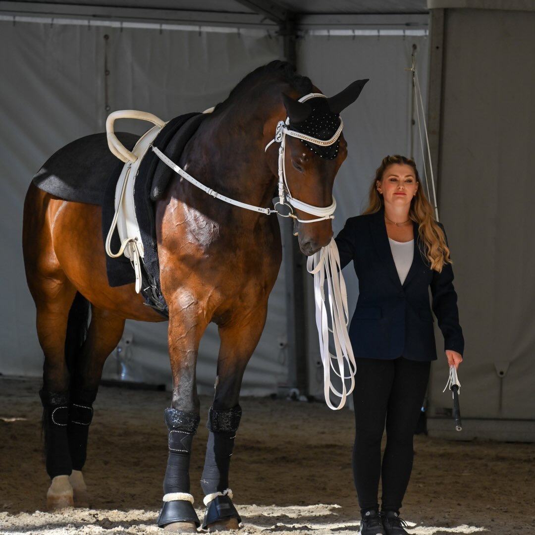 Instagram Profilbild von michellearcori