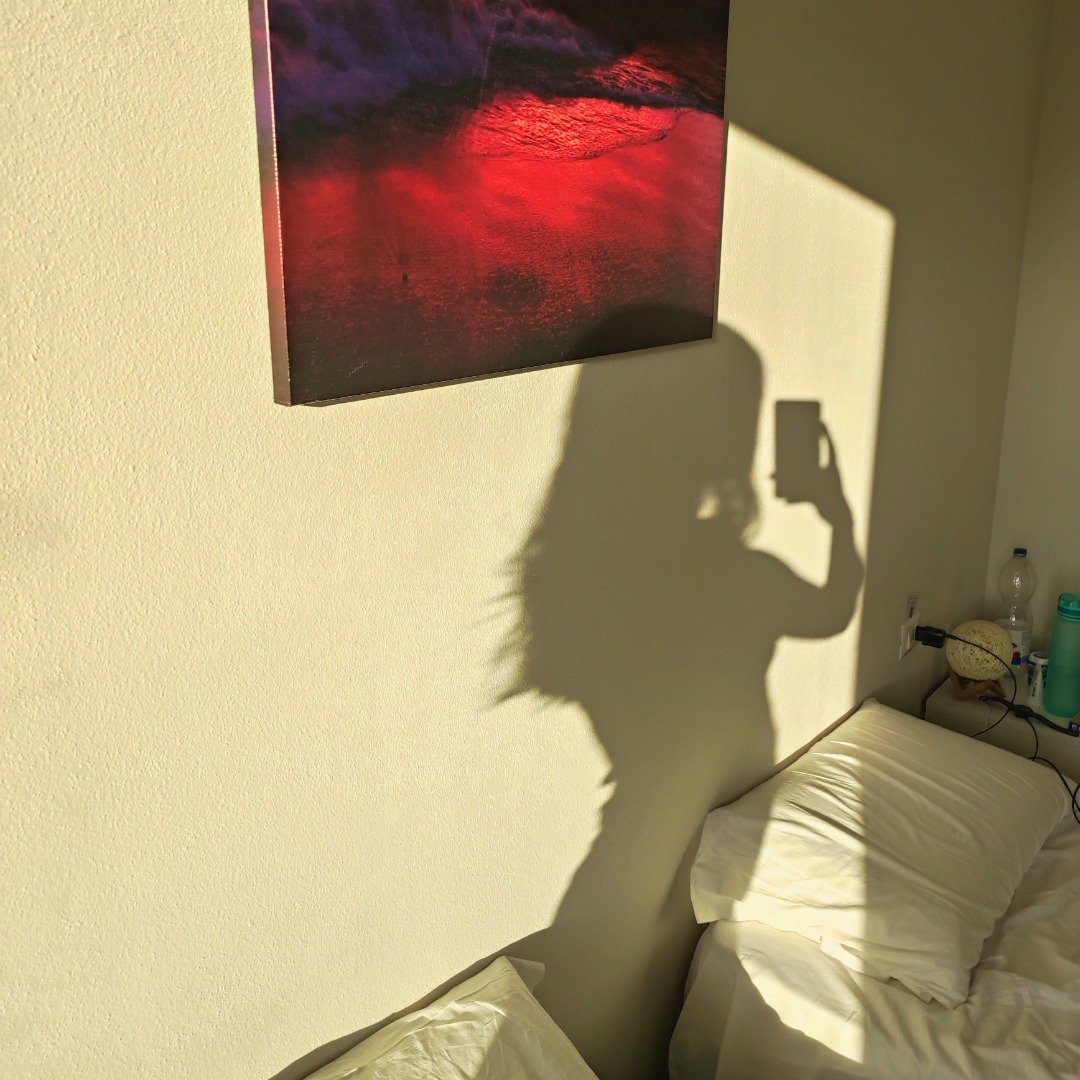 Instagram Profilbild von janadinosaur