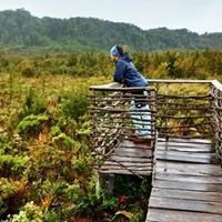Instagram Profilbild von rofloresavila
