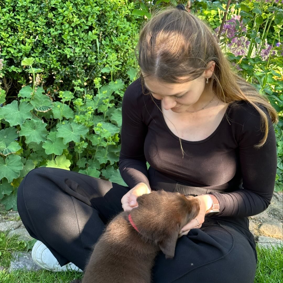 Instagram Profilbild von sarah_ctt_