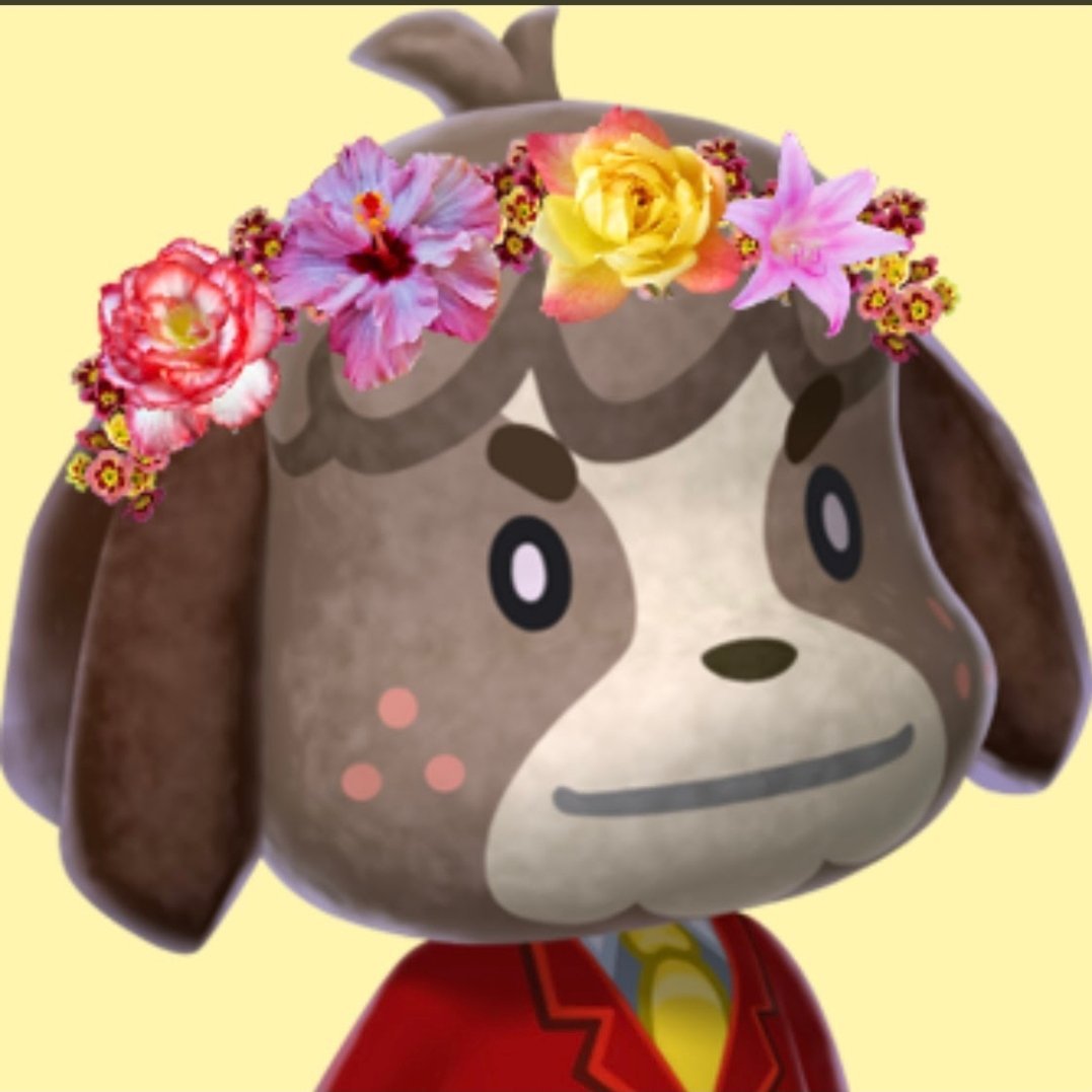 Instagram Profilbild von digby.shizue