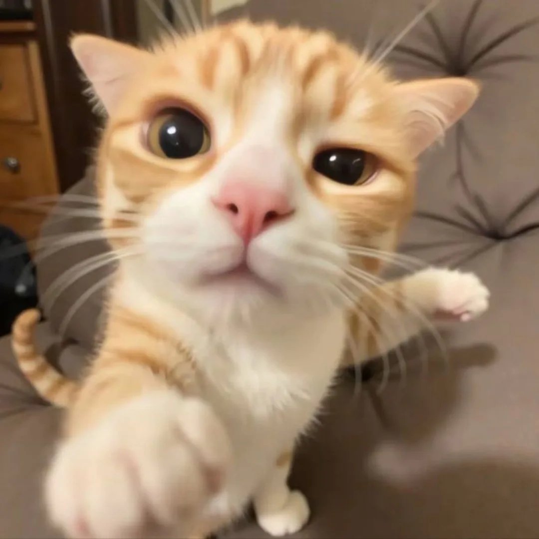 Instagram Profilbild von fl0w3ryys