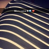 Instagram Profilbild von cainemaro