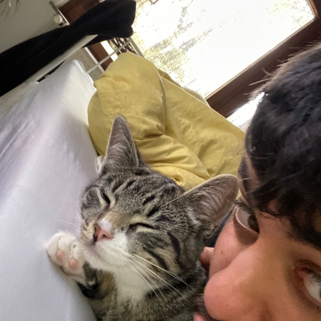 Instagram Profilbild von inan.te