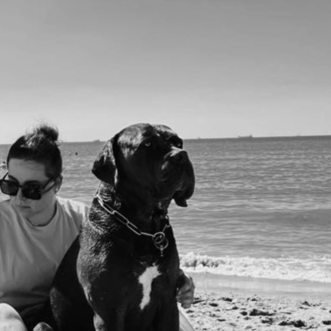 Instagram Profilbild von shellysbr