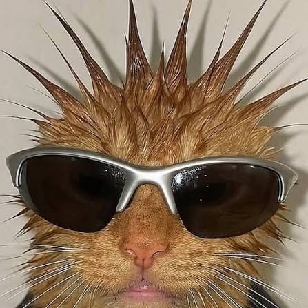 Instagram Profilbild von eldancinggato