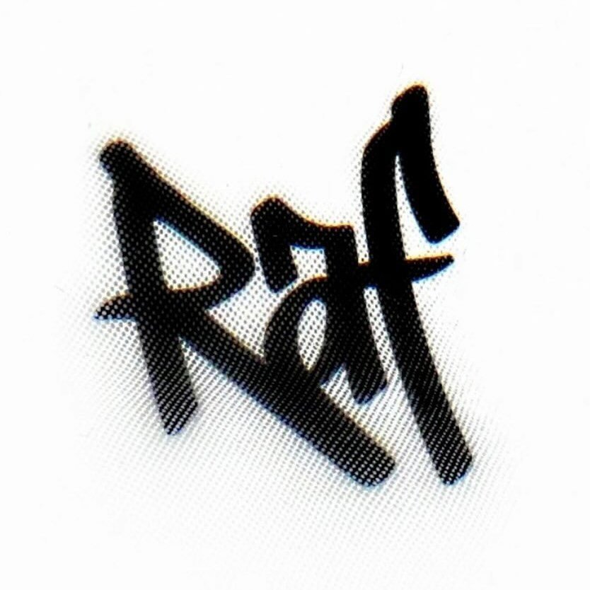 Instagram Profilbild von rafsvisualizer