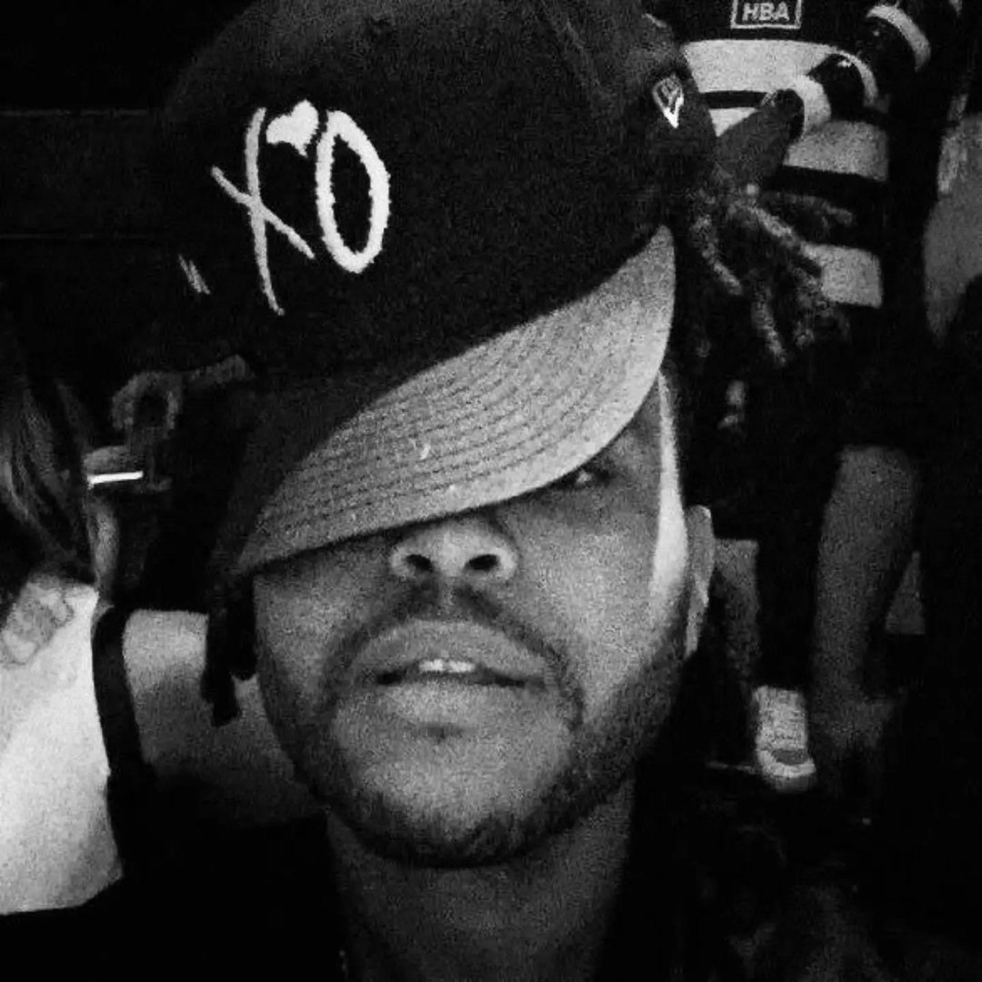 Instagram Profilbild von tvrknextdoor