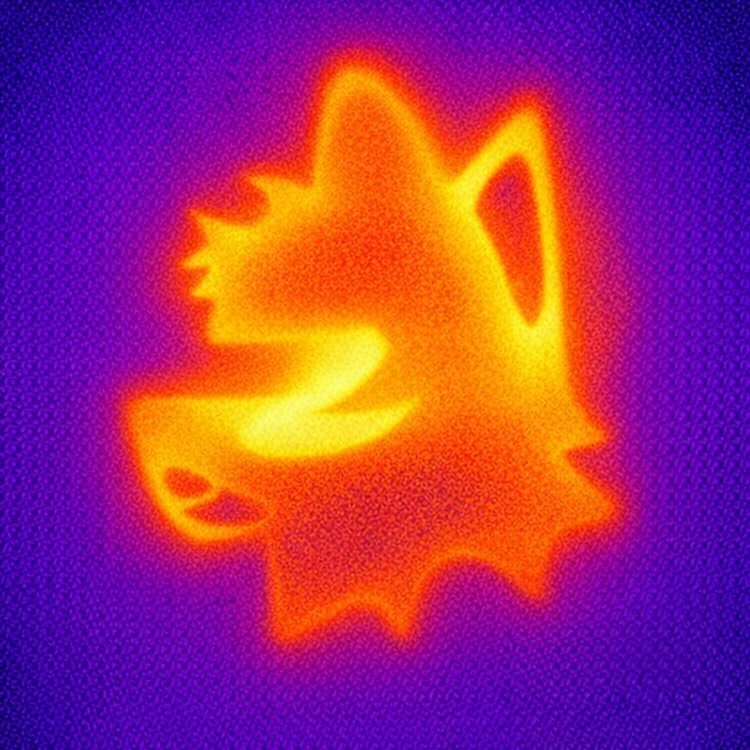 Instagram Profilbild von nedahtr
