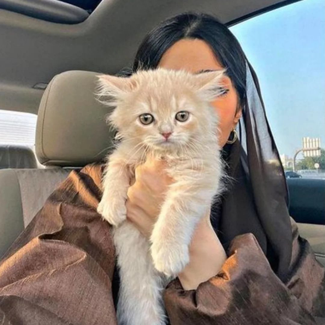 Instagram Profilbild von dedakhuwajazada