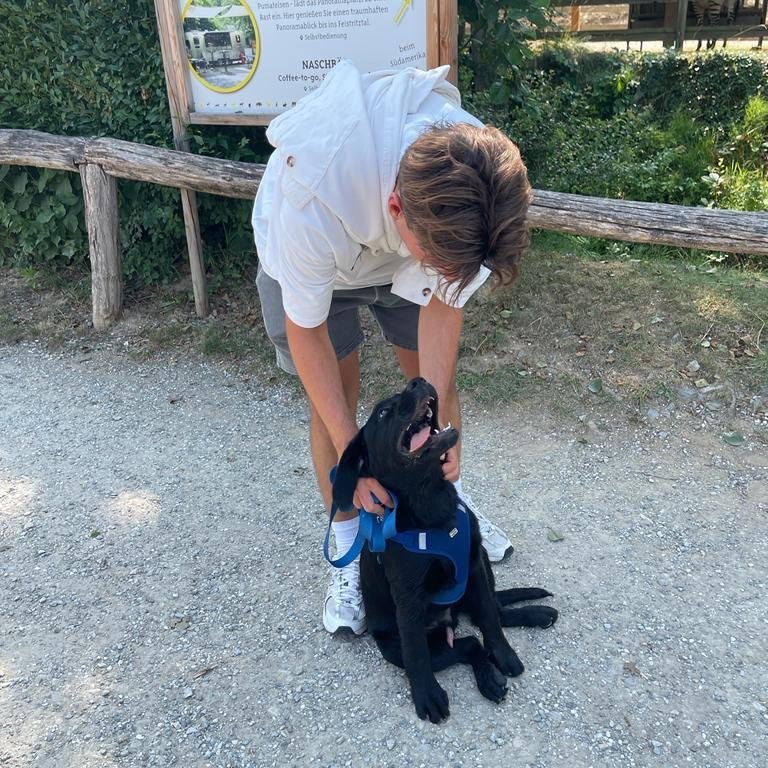 Instagram Profilbild von manuelpfurtscheller