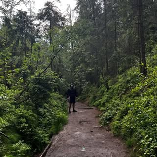 Instagram Profilbild von 13ts123456