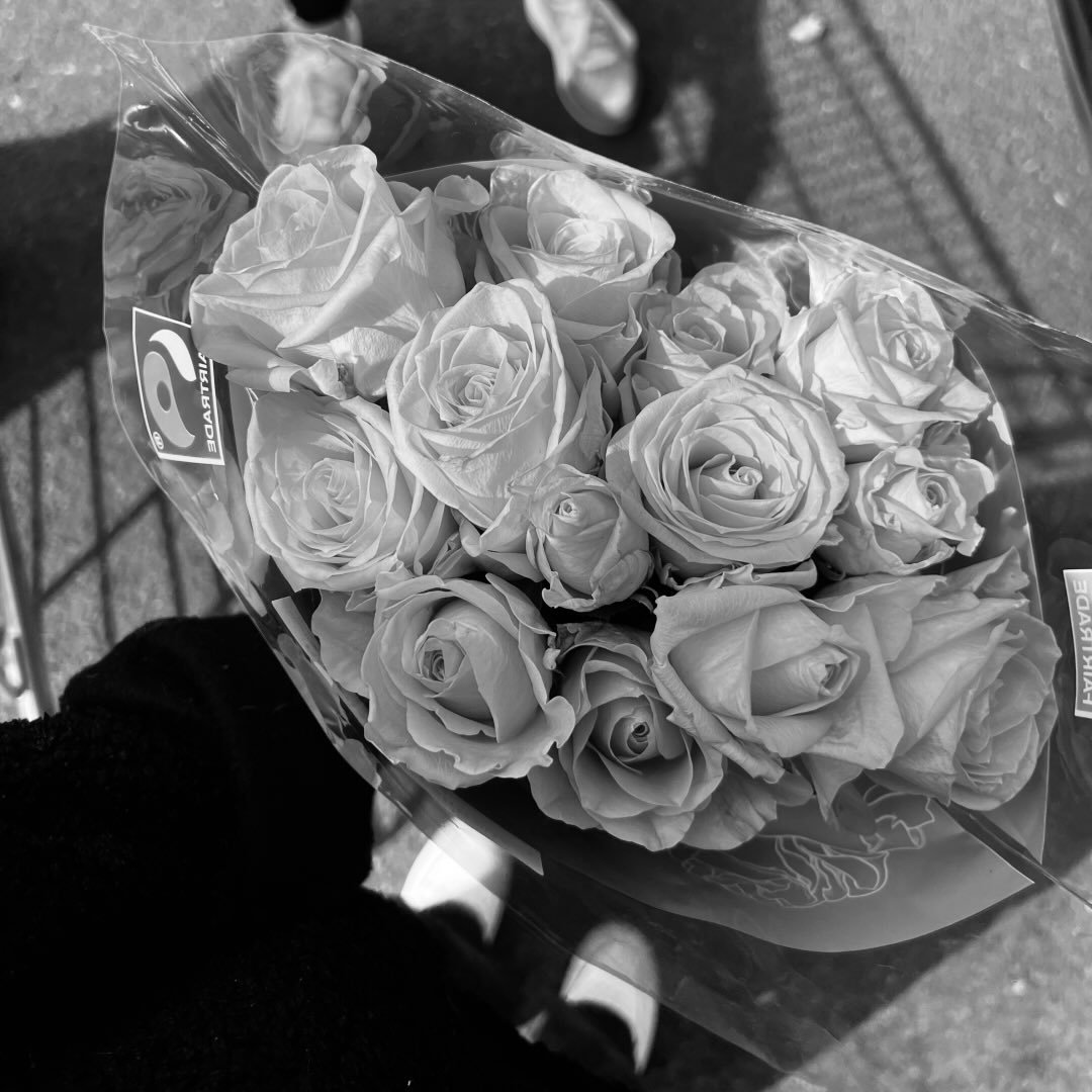 Instagram Profilbild von xngi___