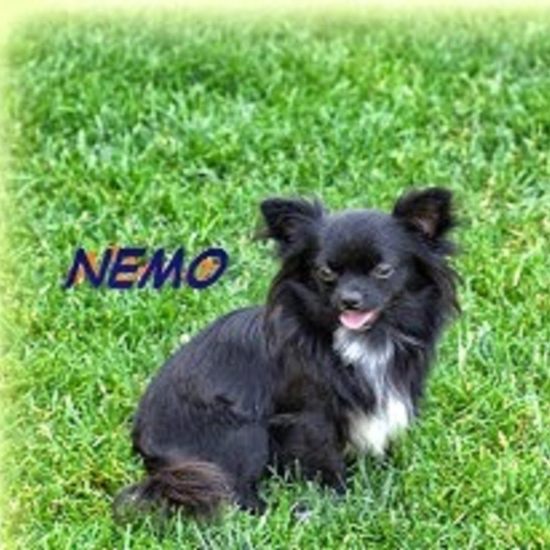 Instagram Profilbild von nemo1601