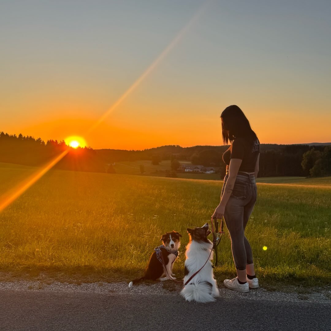 Instagram Profilbild von nathalie_kapeller