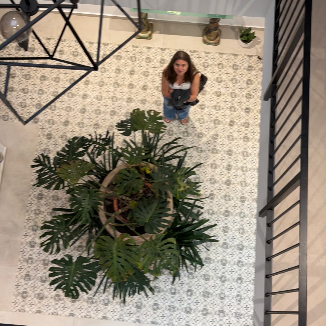 Instagram Profilbild von anne_liesee