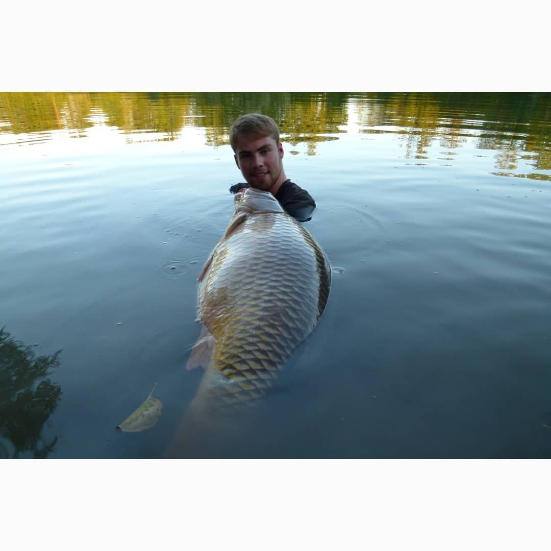 Instagram Profilbild von tomz_immermann