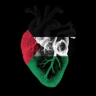 Instagram Profilbild von ammar.ammar_