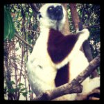 Instagram Profilbild von antonia_fs