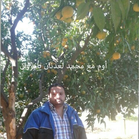 Instagram Profilbild von zakariaelhamadi