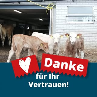 Instagram Profilbild von ___corinna