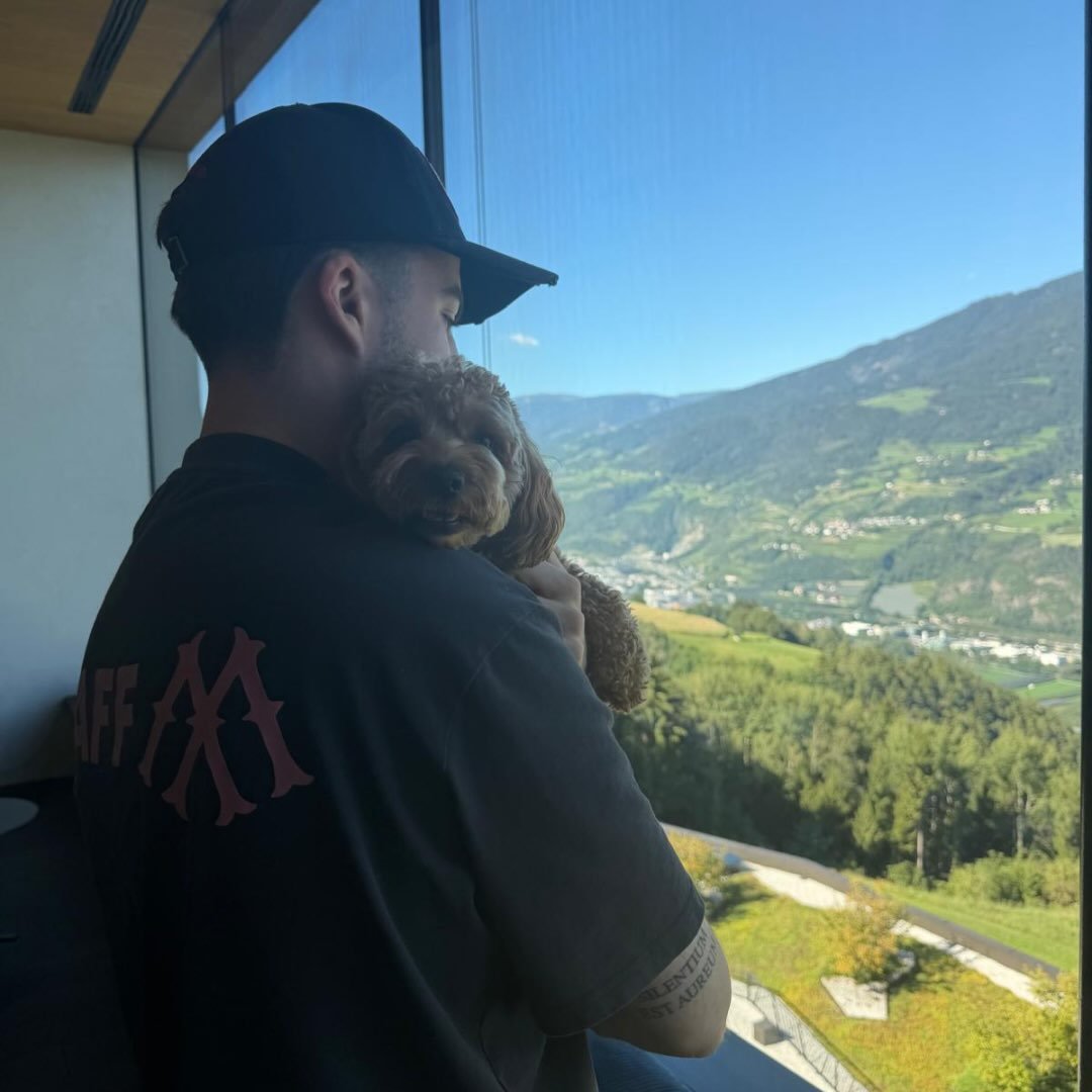 Instagram Profilbild von david.vlc