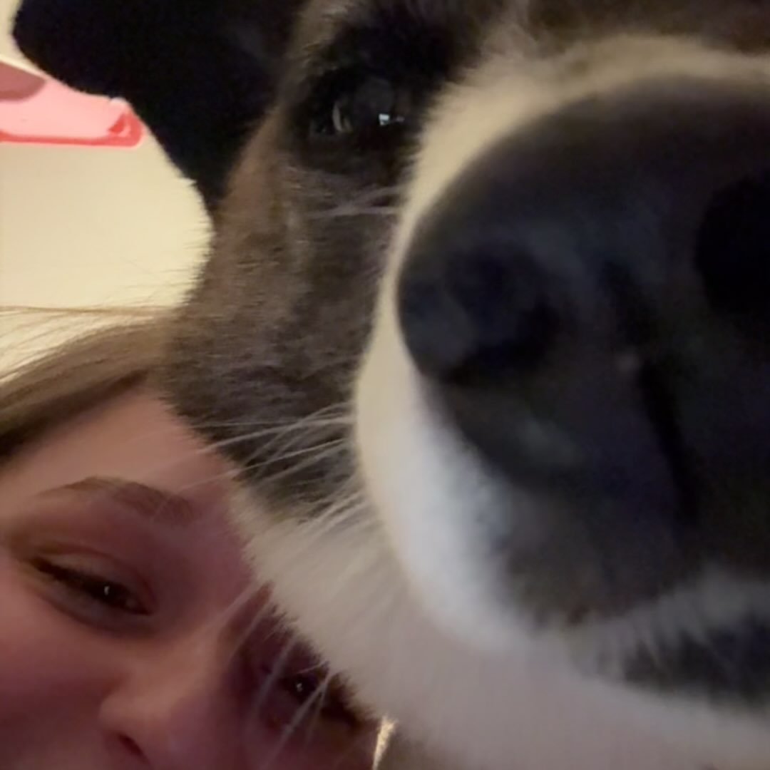 Instagram Profilbild von jederbrauchteinelilly