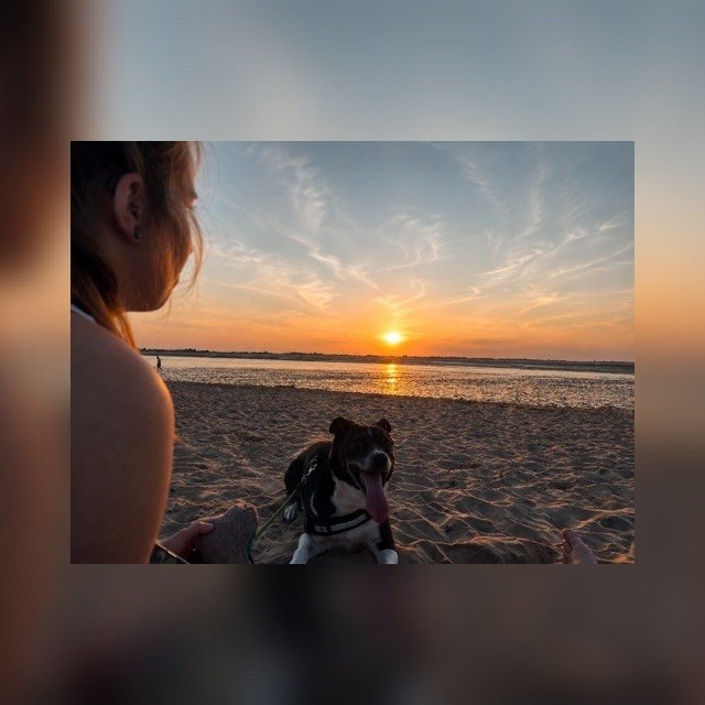 Instagram Profilbild von bxrtx.3
