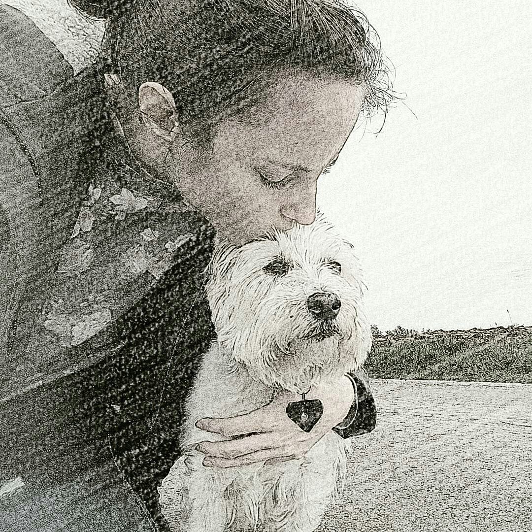 Instagram Profilbild von schellhaase
