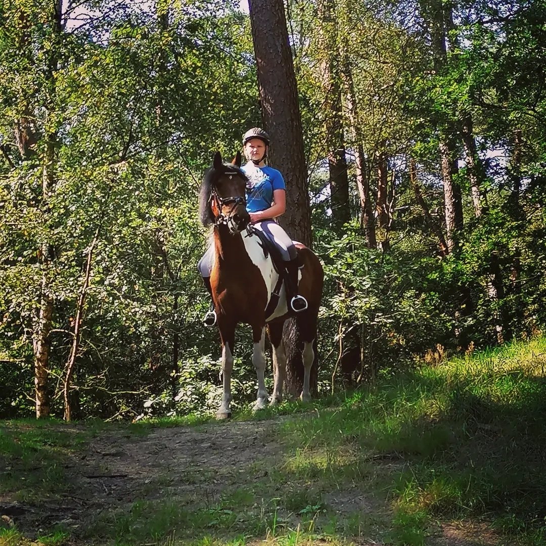 Instagram Profilbild von tomke_junkhoff