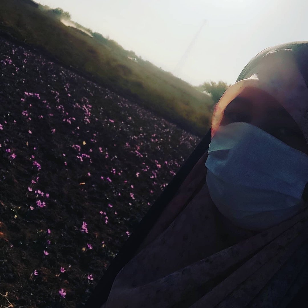 Instagram Profilbild von f.abavisani