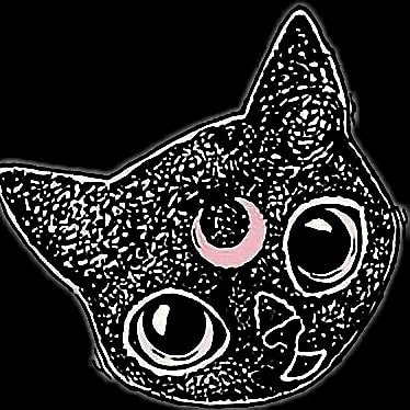 Instagram Profilbild von spooky_kitten