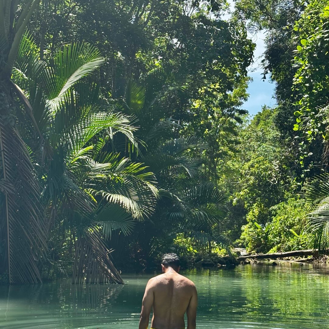 Instagram Profilbild von thambu.vi