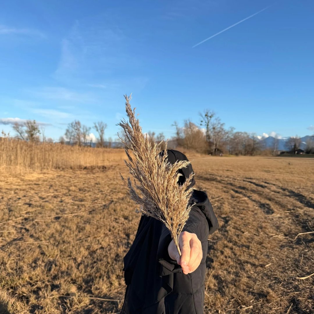 Instagram Profilbild von ru.eshu