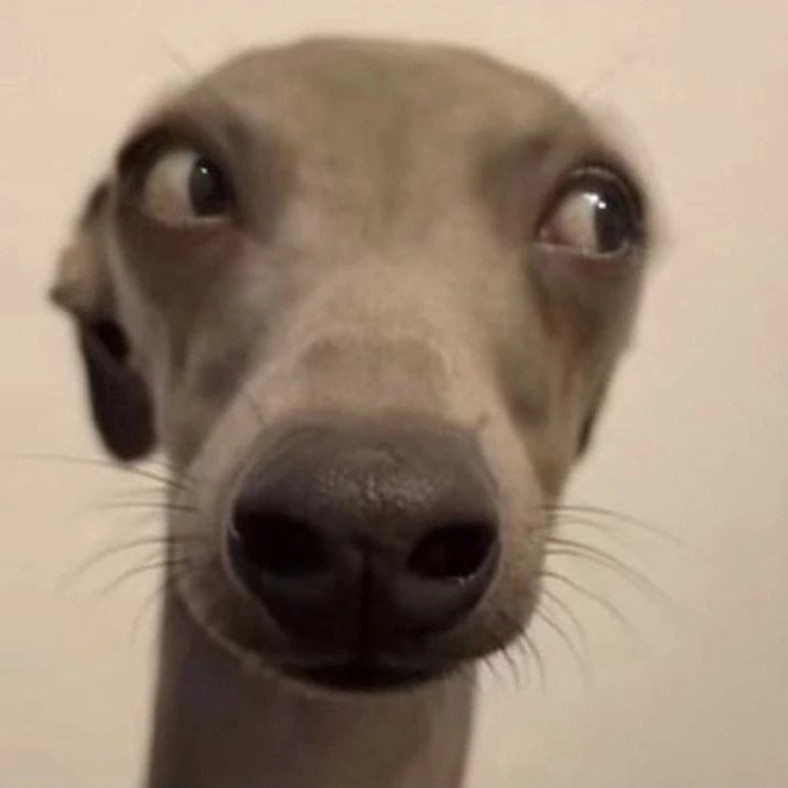 Instagram Profilbild von bei.anni