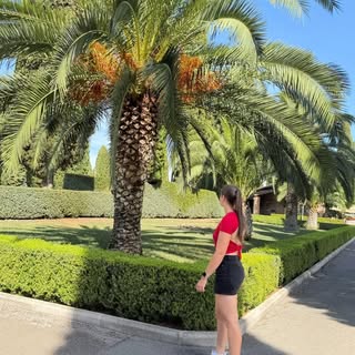 Instagram Profilbild von bibibe04
