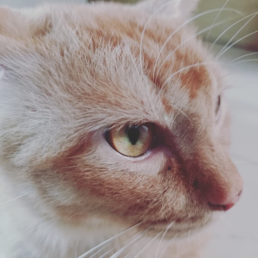 Instagram Profilbild von reena_ma