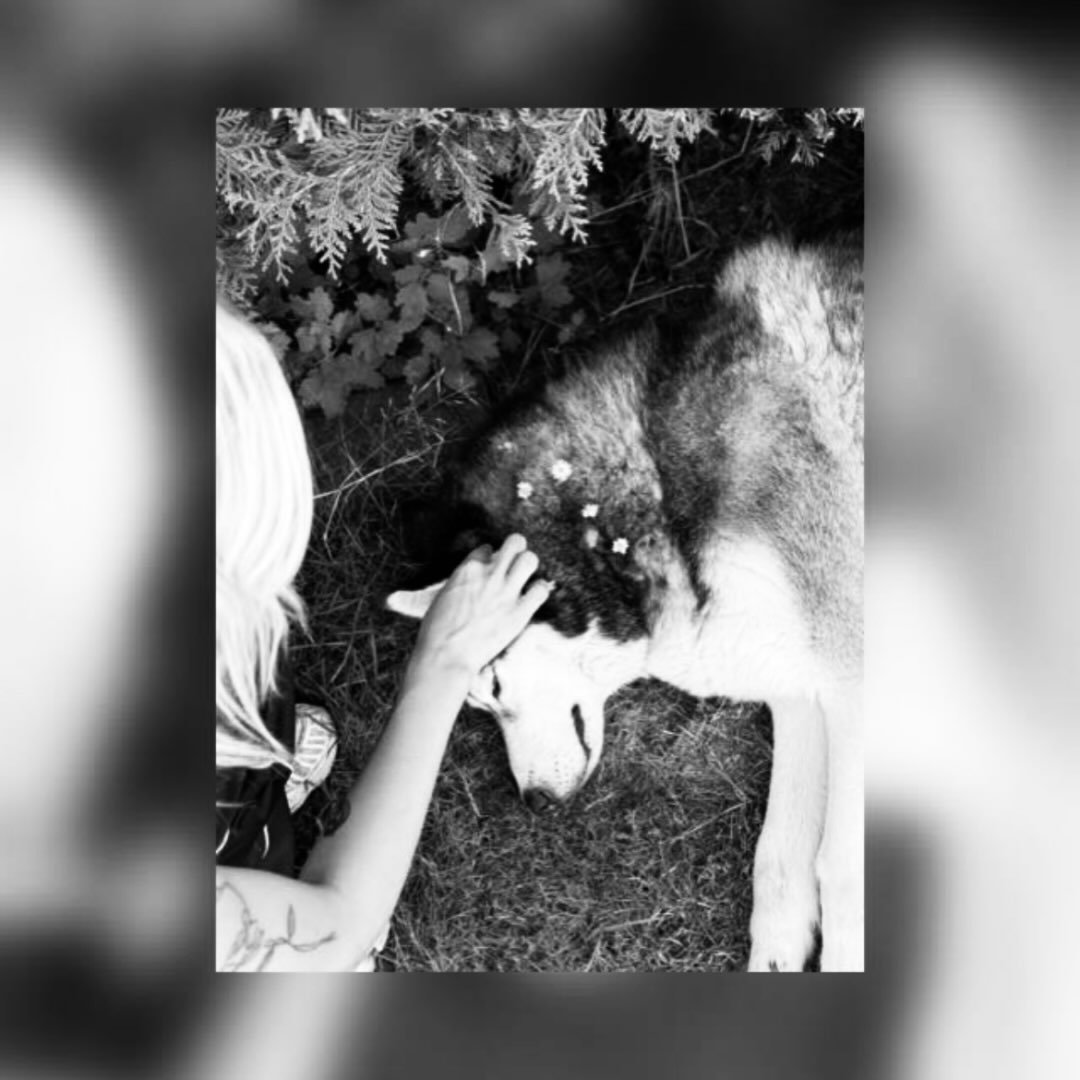 Instagram Profilbild von sorayaengel7