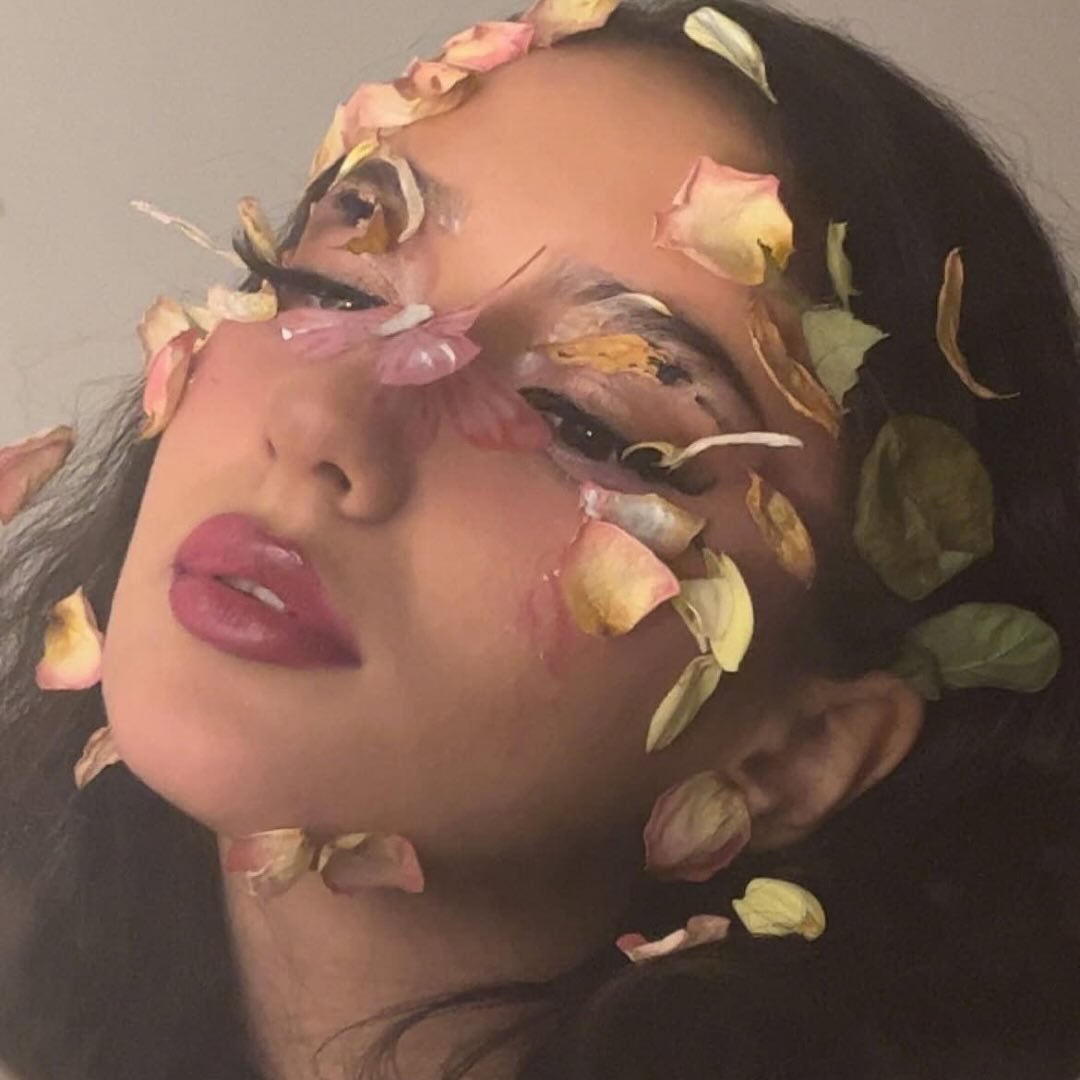 Instagram Profilbild von safijart