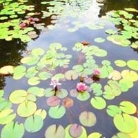Instagram Profilbild von sehnazakkas