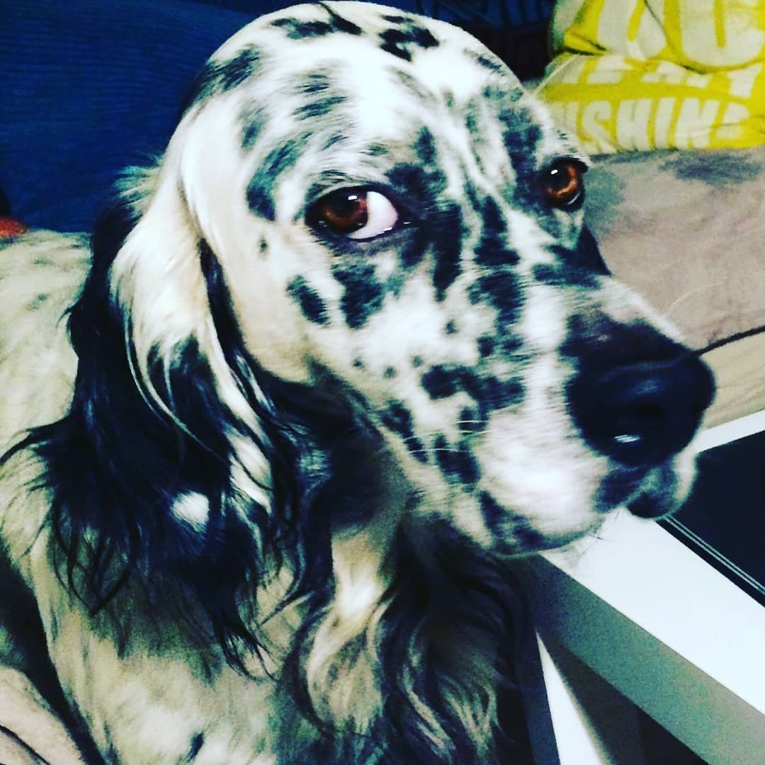 Instagram Profilbild von niilooo___
