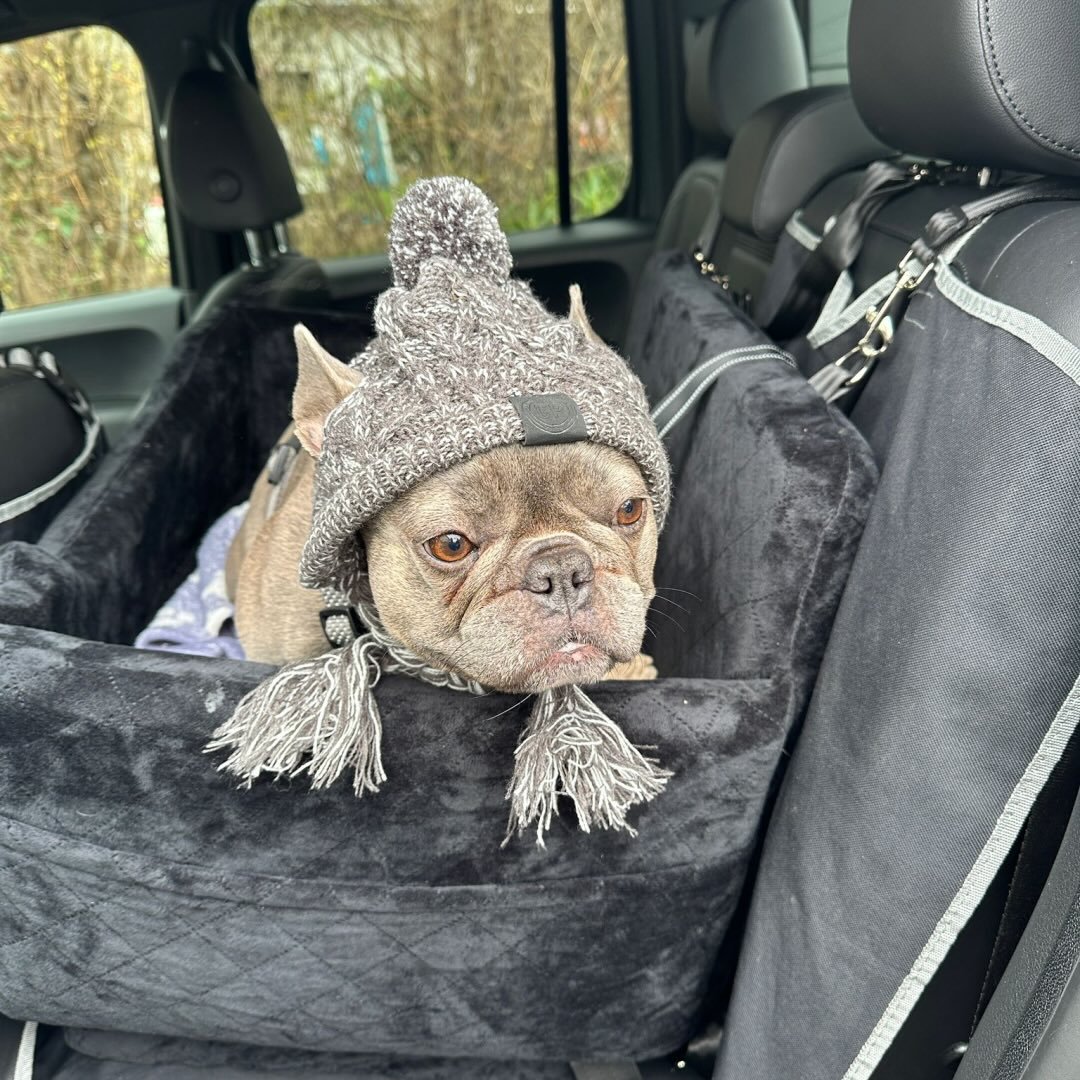 Instagram Profilbild von danielacomes