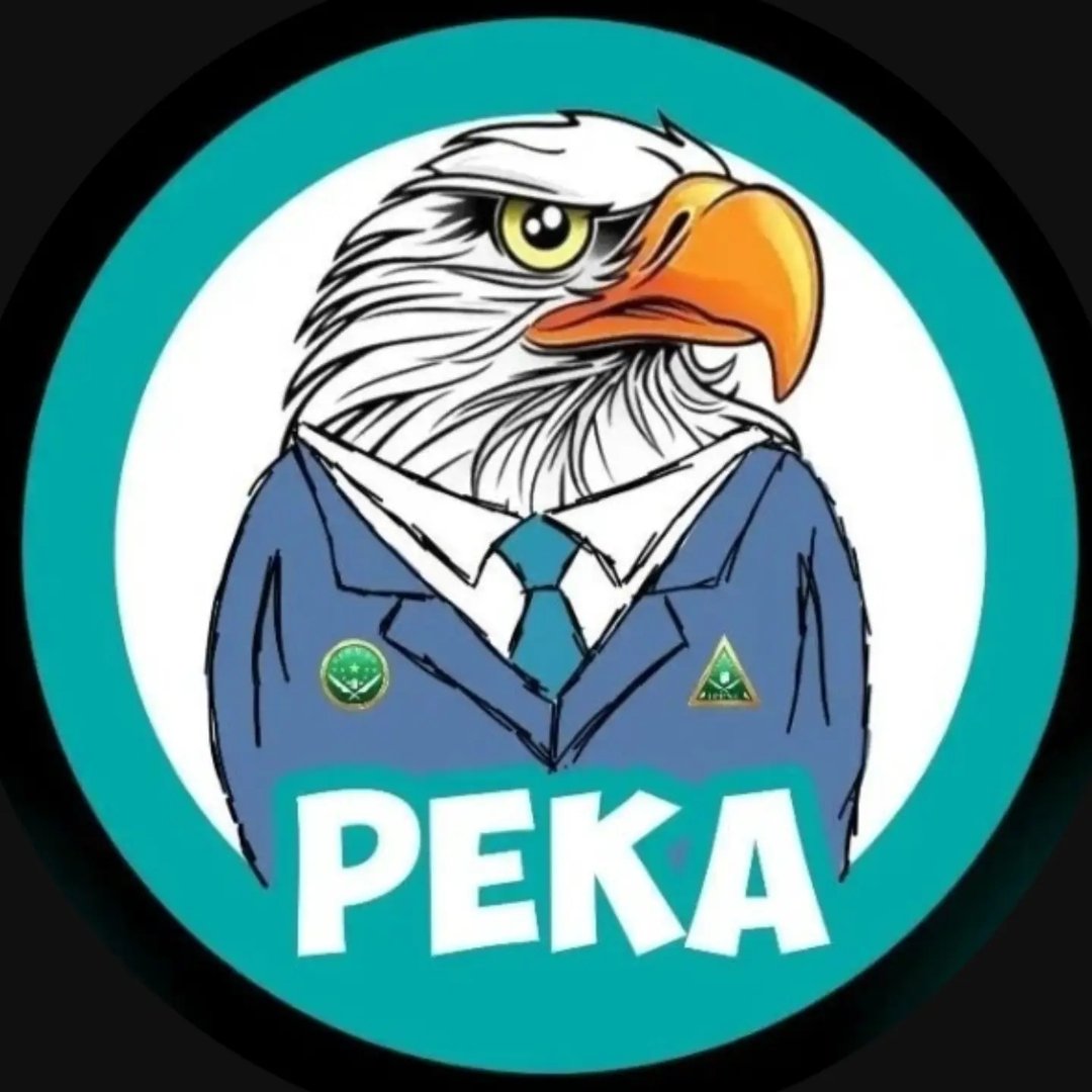 Instagram Profilbild von pkipnuippnu_malfa